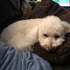 Meet your Posher, Gary